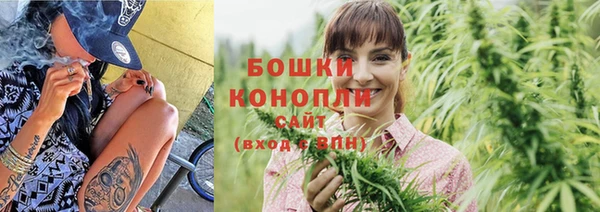 прущие крисы Горняк